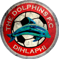 Logo The Dolphins FC